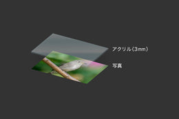 フォトアクリル 3mm 透明 ゲタ無し B5 (182×257)