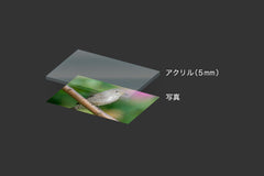 フォトアクリル 5mm 透明 ゲタ無し  1000×1200