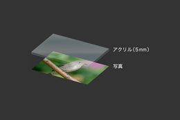 【S】フォトアクリル 5mm 透明ゲタ無し  A3ノビ (329×483)