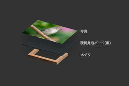 硬質発泡ボード黒 (ゲータフォーム) 5mm 木ゲタ付き 900×1500